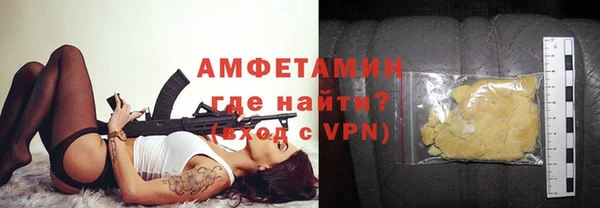 сатива Коряжма