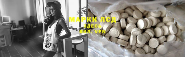 индика Костерёво