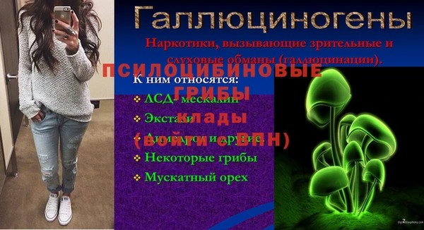 хмурый Абаза