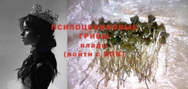 трава Абинск