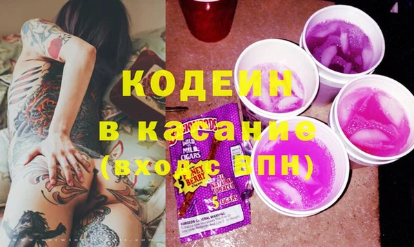 хмурый Абаза