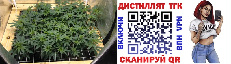 ТГК концентрат Ростов-на-Дону